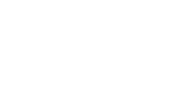 Fly By Fun