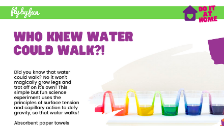Who Knew Water Could Walk?